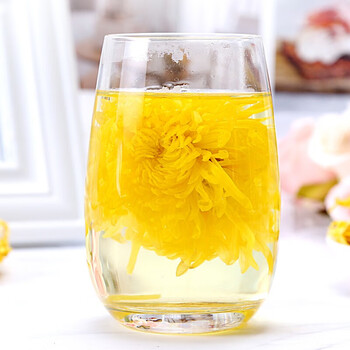 华简【100朵大包装】金丝皇菊花茶安徽黄山独立包装可搭陈皮金银花