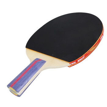 红双喜二星训练成品拍升级版直拍H2006双面反胶乒乓球拍含拍包乒乓球