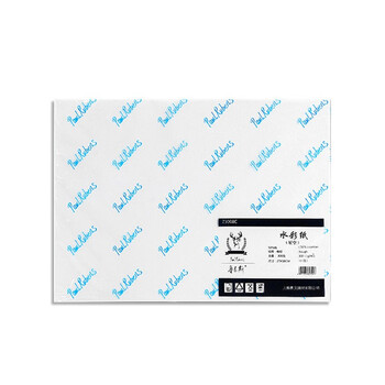 鲁本斯（PaulRubens）星空水彩纸加厚16K中粗纹300g棉浆纸素描纸学生初学美术绘画纸20张/包0111073