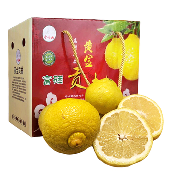 黄金贡柚 春香柚 小柚子 9斤礼盒装大果 (果径75-85mm)【图片 价格