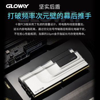 光威（Gloway）32GB(16GBx2)套装 DDR5 6800 台式机内存条 神武RGB系列 海力士A-die颗粒 CL34 Deepseek硬件