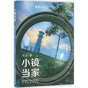 小镜当家 岳论  书籍