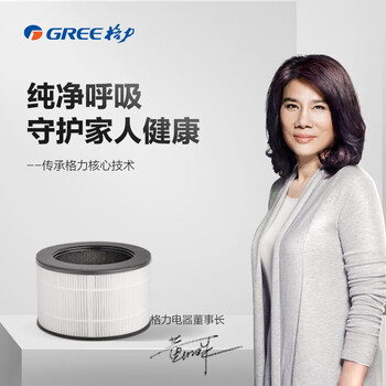 格力空气净化器原装滤网 三重过滤 适用于型号KJ100G-A01空气净化器【配件】