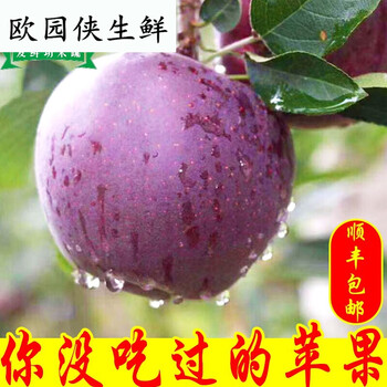 顺丰 果园现摘 黑苹果水果昭通黑卡黑钻紫色苹果脆甜新鲜水果当季整箱75mm 含 80mm 不含 9斤 图片价格品牌报价 京东
