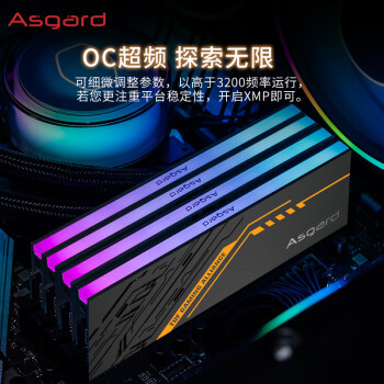 阿斯加特（Asgard）16GB(8GBx2) DDR4 3600 台式机内存条 金伦加&TUF联名款 RGB灯条 海力士CJR CL18 黑橙甲