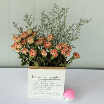 干花花束玫瑰花ins北欧风小清新家居蔷薇花花束办公摆设客厅装饰浪漫泡泡三十朵不含纸袋干树枝 图片价格品牌报价 京东