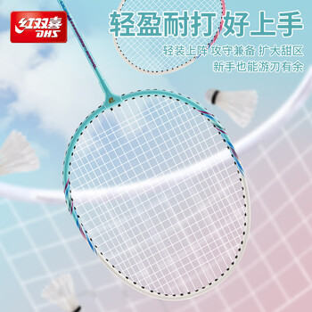 红双喜（DHS）羽毛球球拍对拍套装训练比赛超轻耐打成人学生防磨羽拍 P200附3球