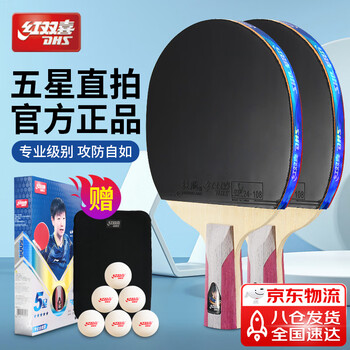 红双喜 五星直拍对拍（京仓速发+6球+拍套）乒乓球拍H5006直拍双拍