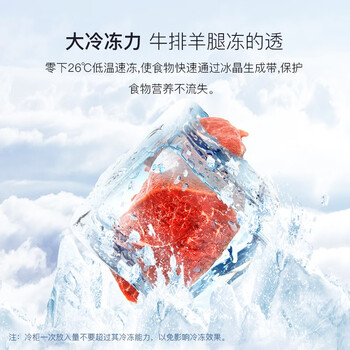 美菱201L单温家商用低霜冷柜 一级能效迷你节能单温小冰箱 BC/BD-201DTQ【专】