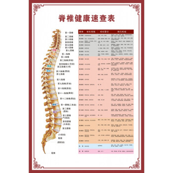 人體骨骼圖掛圖器官內臟結構圖海報脊柱圖解肌肉分佈解剖圖掛畫脊椎