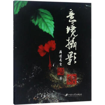 意境摄影 雁过长空  书籍