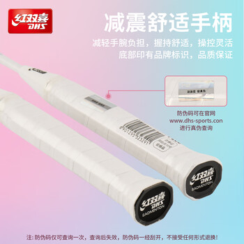 红双喜（DHS）羽毛球球拍对拍套装训练比赛超轻耐打成人学生防磨羽拍 P200附3球