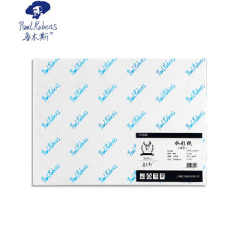 鲁本斯（PaulRubens）星空水彩纸加厚16K中粗纹300g棉浆纸素描纸学生初学美术绘画纸20张/包0111073