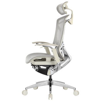 有谱DV-10电脑椅怎么样?好不好？评价很好吗