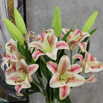 客厅餐桌装饰假花 婚庆乔迁礼品花 香槟色手感百合(5支价)