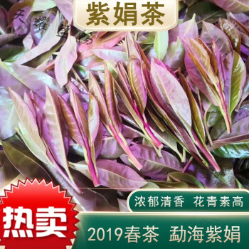 紫鹃茶云南普洱茶生茶散茶紫娟茶勐海布朗山生态茶春茶500克一斤 图片价格品牌报价 京东