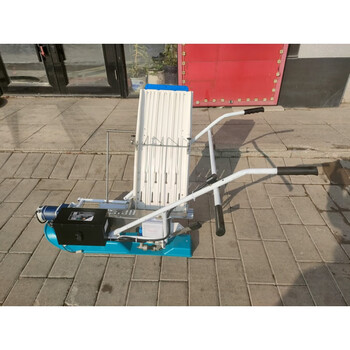 机补边补苗汽油神器水田家用小型单行秧苗水稻自走手推拉式单行补苗机