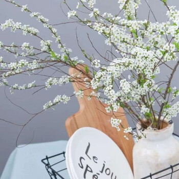 泡水开花干枝雪柳干支水插花雪柳鲜花喷雪花鲜切花腊梅带花苞雪柳80厘米10支 图片价格品牌报价 京东