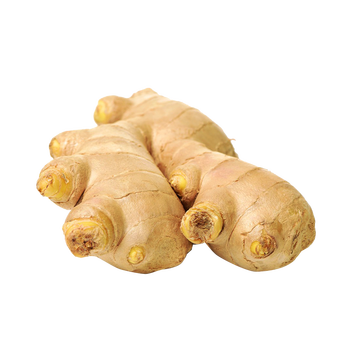 广东高州大肉姜生姜辣姜新鲜风干姜月子姜炒菜煲汤的辣姜1斤