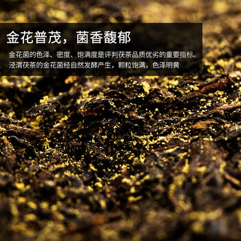 泾渭茯茶益生小黄砖360g礼盒装黑茶 陕西黑茶伏茶 金花茯砖茶中秋送礼礼品