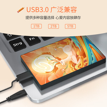 希捷（SEAGATE）移动硬盘 2TB USB3.0高速 希捷简定制款 机械硬盘 兼容Mac 便捷 鹿鸣之喜 数据恢复服务 外接存储