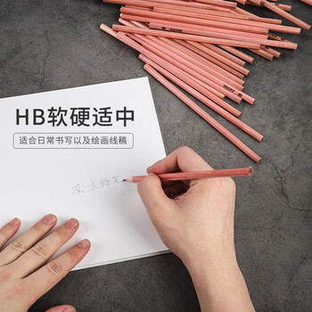天章（TANGO）HB铅笔50支/筒学生儿童素描绘图原木色六角笔杆书写字原木笔杆绘画练字必备