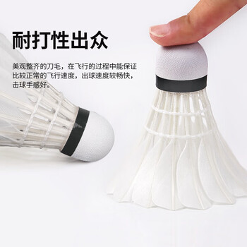 匹克羽毛球球耐打口粮球训练比赛专用球羽毛球子鸭毛10只装羽球王K10C 匹克羽毛球球耐打口粮球训练比赛专用球羽毛球子鸭毛10只装羽球王K10C