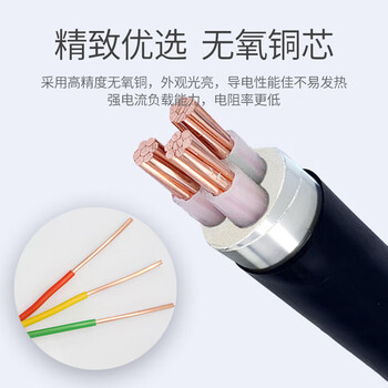 郑源 铠装铜芯电线电缆ZR-YJV-0.6/1KV 3*25+2 一米价