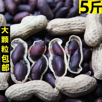 黑花生带壳生花生5斤装晒干可做种子农家熟花生山东特产干果零食散装批发5斤 带壳黑花生生的 图片价格品牌报价 京东