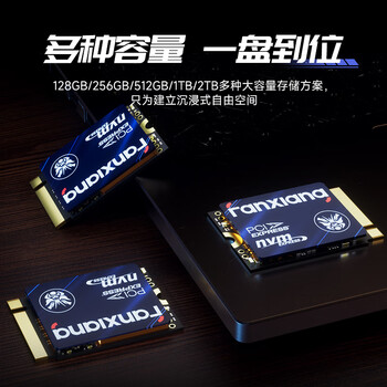 梵想（FANXIANG）1TB SSD固态硬盘 M.2接口NVMe协议PCIe3.0 2230小尺寸规格 电脑游戏机扩展硬盘S532