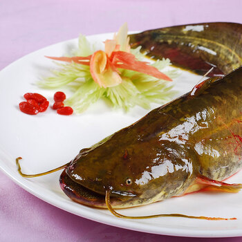 皓谦安峰山鲶鱼现杀生鲜鱼类 水库鱼 淡水鱼 鲶鱼 新鲜鲇鱼黏鱼 胡子