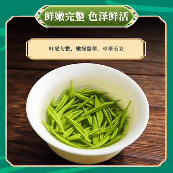 第一江南绿茶毛尖特级250g新茶明前茶叶礼盒罐装春茶端午节送礼品
