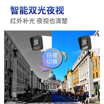 dahua大华4G流量版摄像机200万双光夜视监控声光警戒对讲 不支持WIFI流量需充值 DH-P20A1-4G-ST 3.6mm