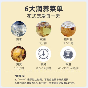 小熊（Bear）迷你养生壶养生杯 烧水壶 煮茶壶 保温杯垫多功能花茶煮茶壶YSH-C08V1蓝色