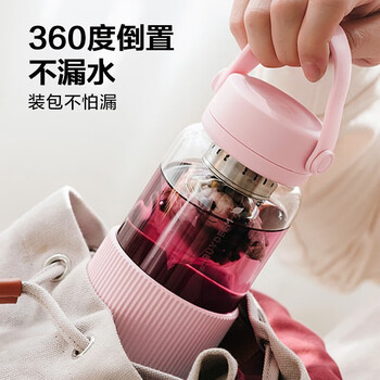 北鼎（Buydeem）茶水分离玻璃杯 男女高颜值便携随手杯办公室泡茶杯浅岛灰470ml