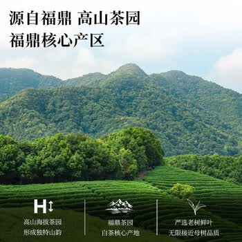 七春陈皮白茶 陈皮福鼎白茶小茶饼干茶叶礼盒600g 送老丈人礼品