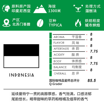 TO精品咖啡豆 印尼苏门答腊曼特宁镜湖200g 湿刨法 原产地手冲单品