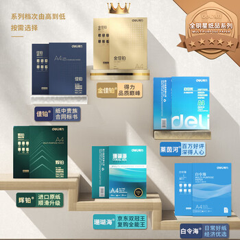 得力（deli）莱茵河A4打印纸 80g500张*5包一箱 口碑优选复印纸 双面加厚草稿纸 整箱2500张 7419