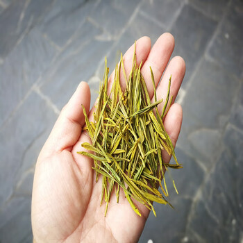 御兰堡（YALUMBA）正宗黄金芽套盒500g/盒