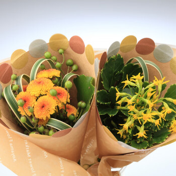 STALOGY 标签贴 标签纸贴纸 口取纸 便利贴 贴纸标签 圆点贴 便签 索引纸 20mm 混色奶油