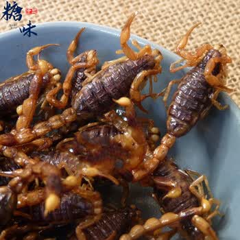 5折  沂蒙山全蝎大母特产食用昆虫十足全蝎15只