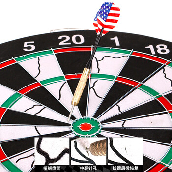 紫湖飞镖盘套装18寸双面植绒飞镖盘健身娱乐比赛飞标盘含10支加重镖针