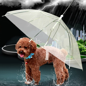 共度宠物狗狗雨伞狗狗雨衣 泰迪比熊小狗狗雨衣 四脚衣 透明伞型宠物