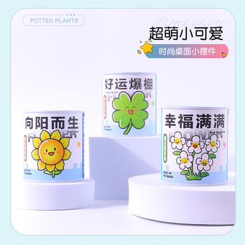 Touch Fish罐装小盆栽桌面种植易拉罐头植物小学生科学实验礼物奖品好运爆棚（幸运草）亲子DIY