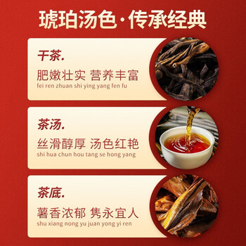 八百秀才红茶英德红茶英红九号一级功夫红茶送礼大份量口粮茶罐装500g 八百秀才红茶英德红茶英红九号一级功夫红茶送礼大份量口粮茶罐装500g