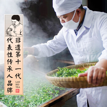 蓝焙2026年新茶预售 绿茶恩施玉露蒸青工艺谷雨新茶 办公茶 罐装200g