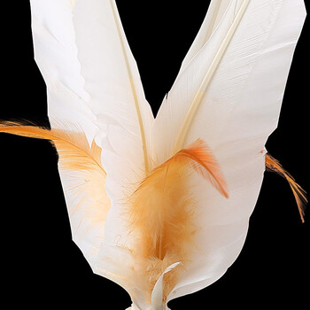 杜威克 毽子鹅毛羽毛彩色比赛毽球牛筋底花键儿童毽子白色 5只装 杜威克 毽子鹅毛羽毛彩色比赛毽球牛筋底花键儿童毽子白色 5只装