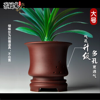 紫砂花盆 • 盆栽芸術植木鉢 宜兴兰花紫砂盆型号规格- 京东