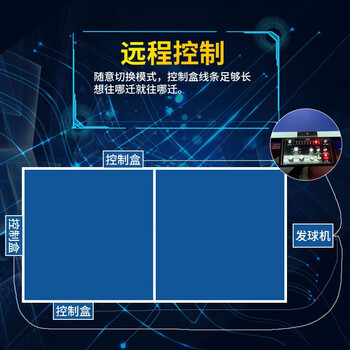 双鱼（DOUBLE FISH）乒乓球发球机落地式 智能乒乓球专业训练发球器含集球网自动回收E8（含运 不含安装）