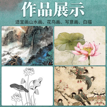 玉水湖国画毛笔套装专用初学者狼毫勾线白描中国画绘画大白云兼毫画水墨画勾线笔工笔画山水画 12支套装